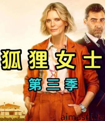 狐狸女士第三季
