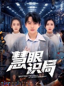 慧眼识局